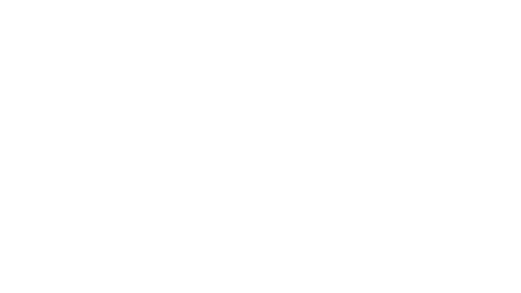 Boyden Logo