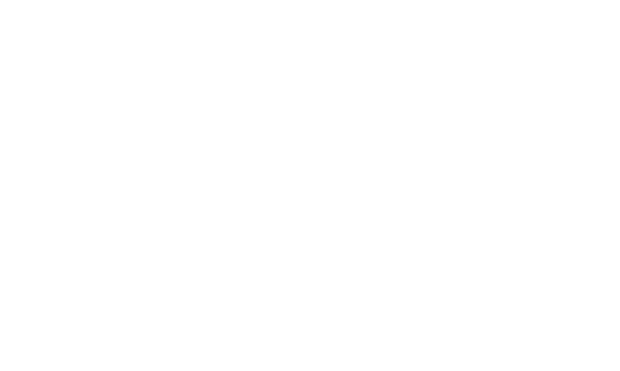 IBM Logo