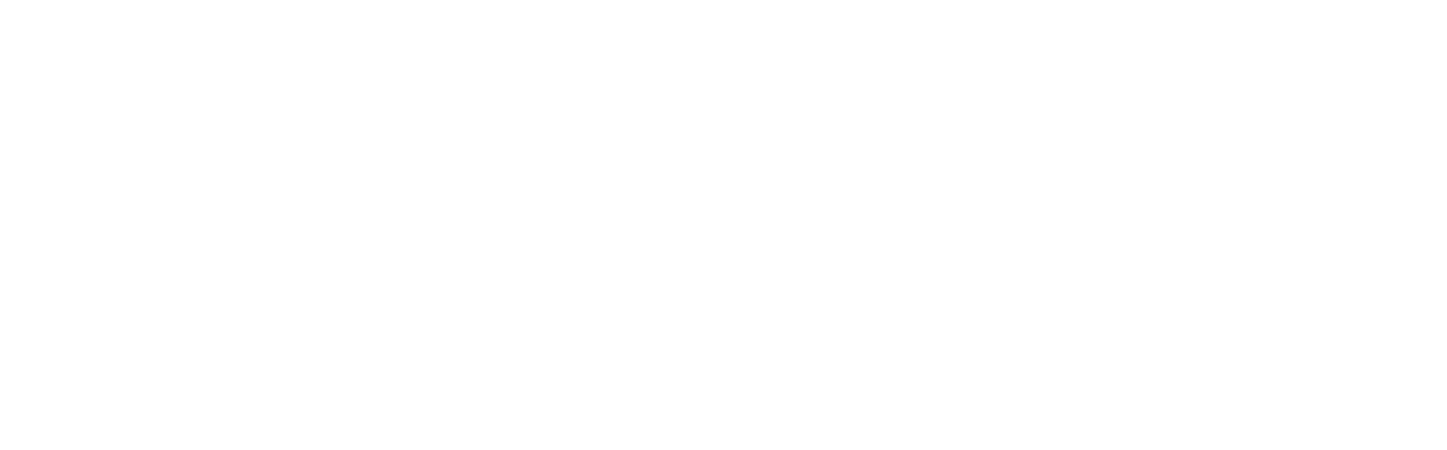 Sapiens Tech Logo